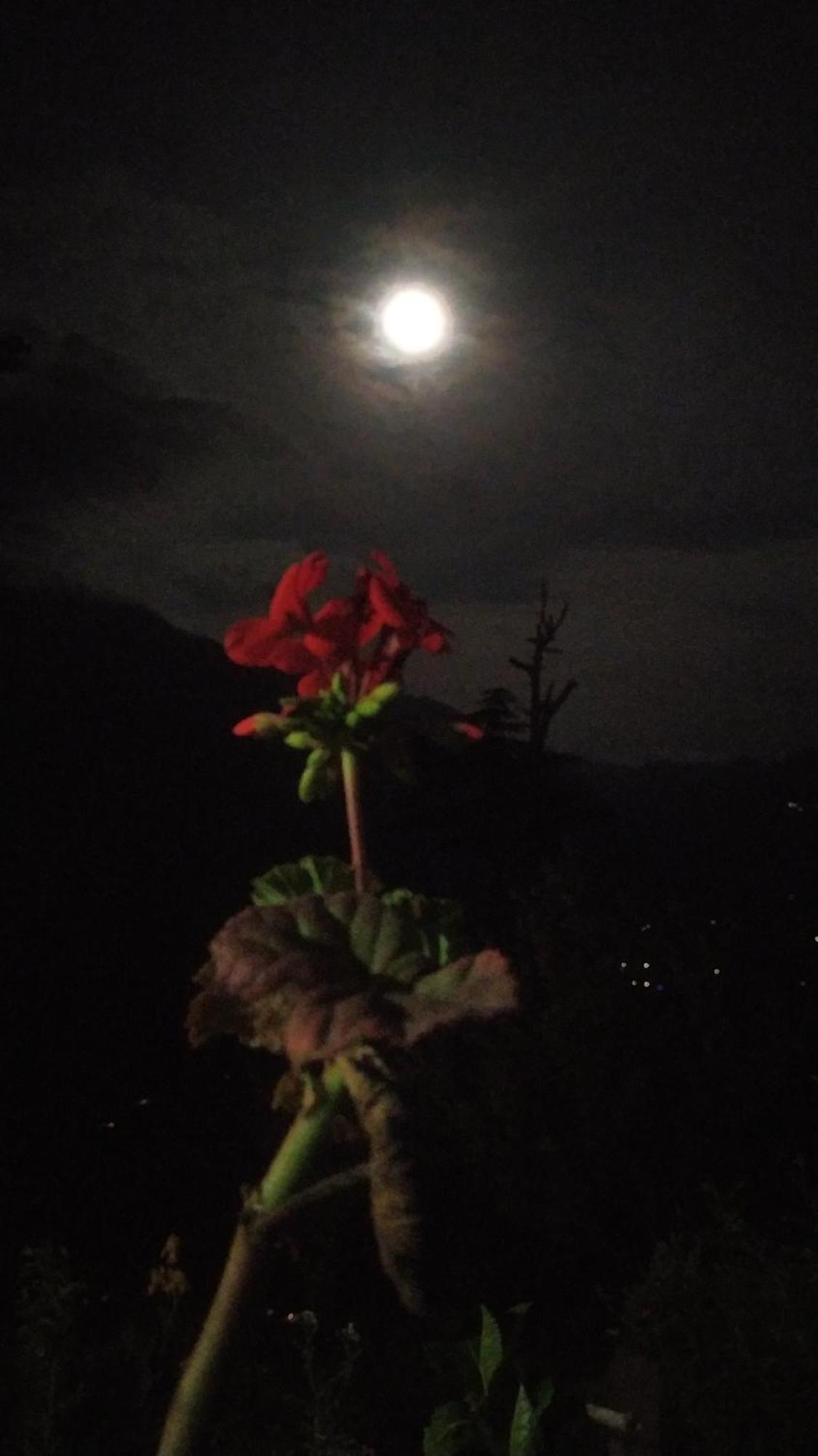 Mountain Eyrie Hotel Banjar ภายนอก รูปภาพ